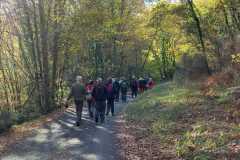 IMG-20221116-WA0008