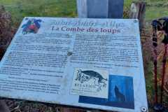 IMG-20221116-WA0012