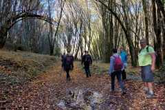 IMG-20221116-WA0015