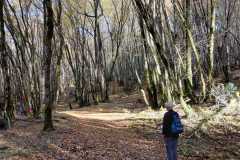 IMG-20221116-WA0016