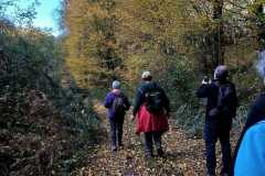 IMG-20221116-WA0017
