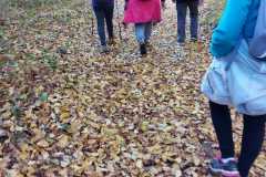 IMG-20221116-WA0018