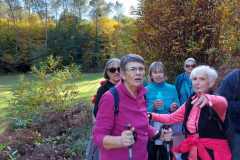 IMG-20221116-WA0019