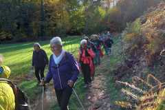 IMG-20221116-WA0020