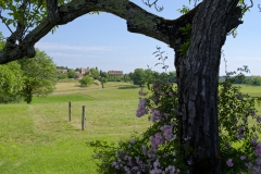 230608-16-Lussac-vu-de-Pechalifour-Perigord-noir