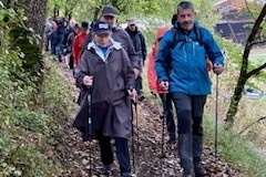 IMG_38141