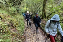 IMG_38181