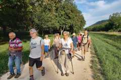 WhatsApp-Image-2022-08-31-at-12.15.55